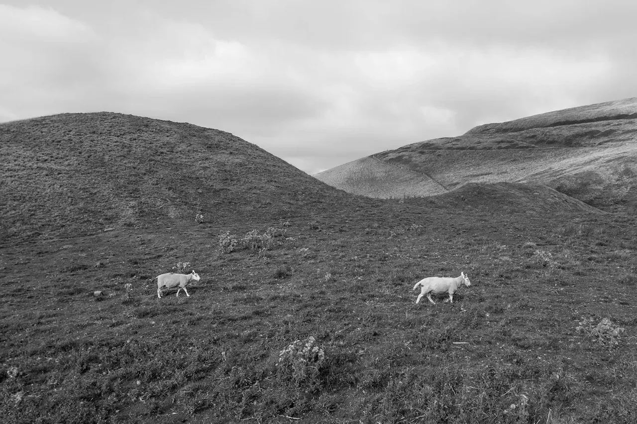 Monochrome photograph 2 by Fin Norris