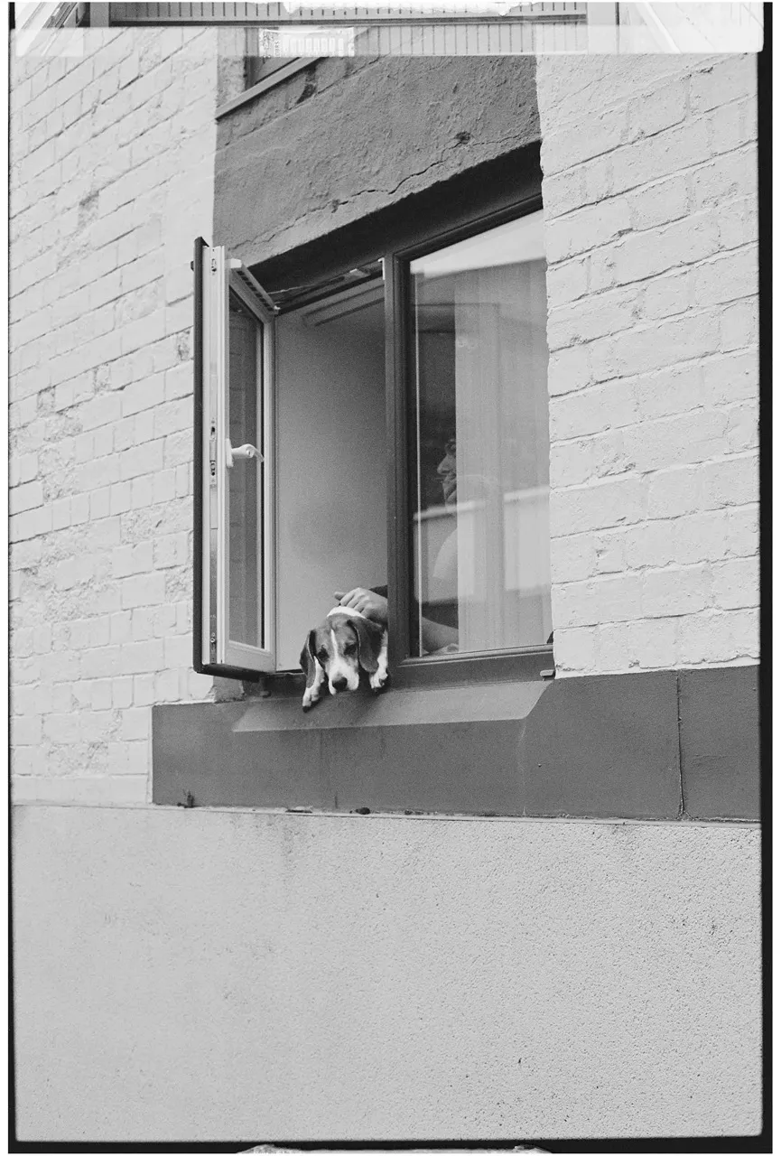 Monochrome photograph 5 by Fin Norris