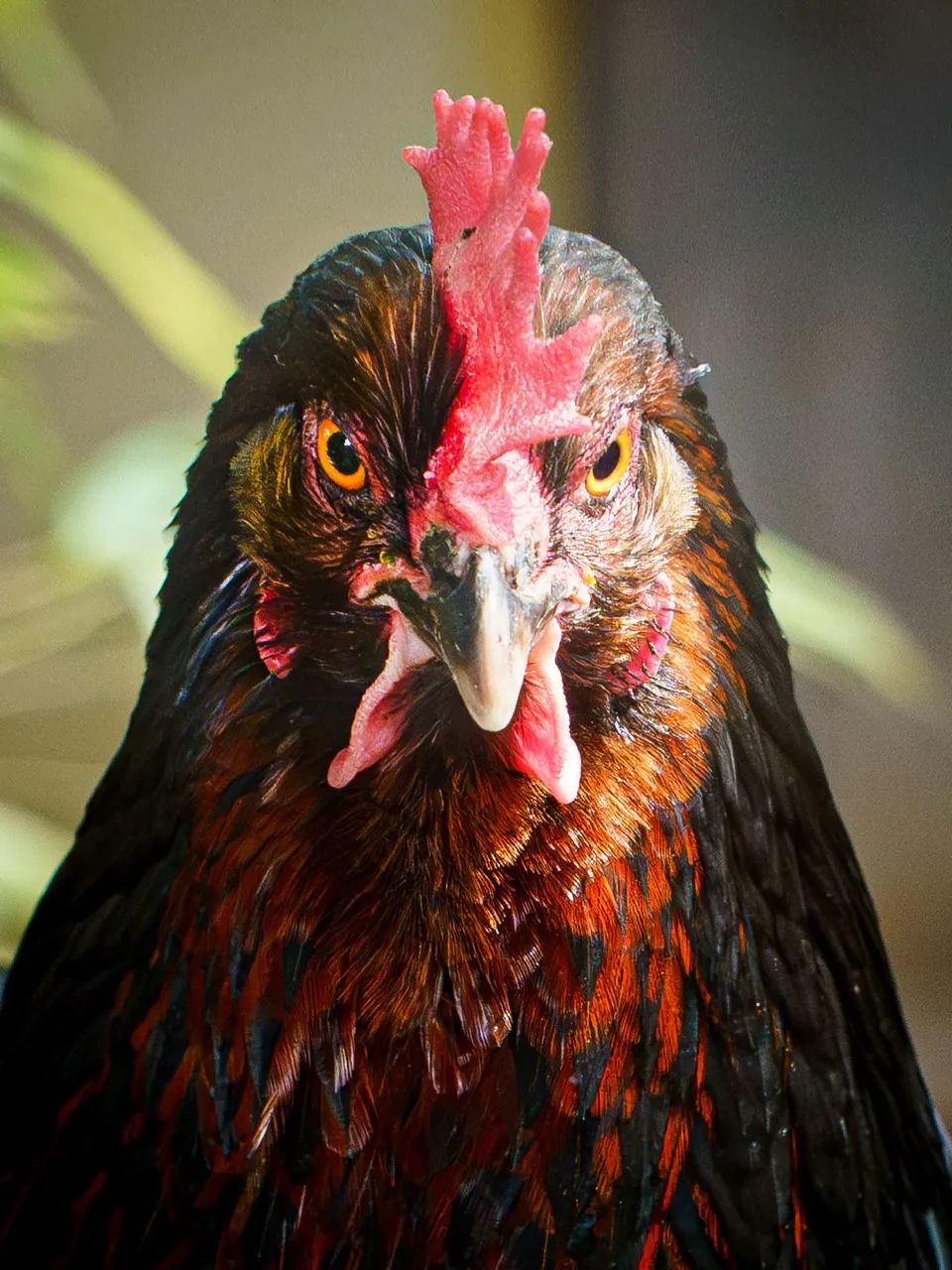 Colour photograph 9 by Fin Norris