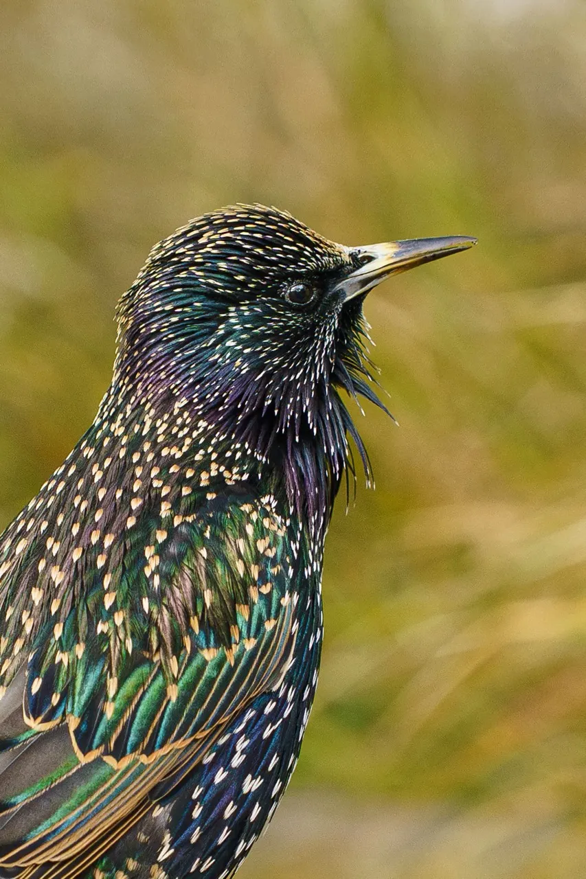 Colour photograph 27 by Fin Norris